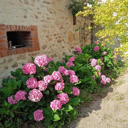 L'Amalgam' Bed & Breakfast Ainay-le-Vieil Luaran gambar
